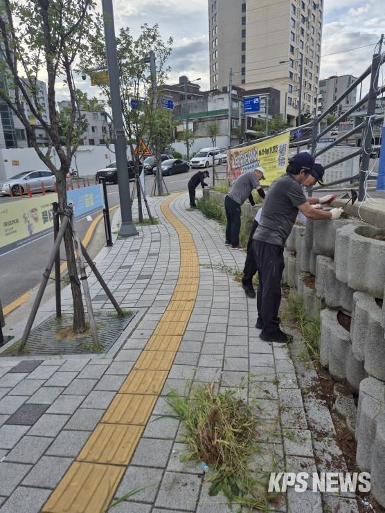 평택시 신장2동, 제초작업으로 깨끗한 거리조성