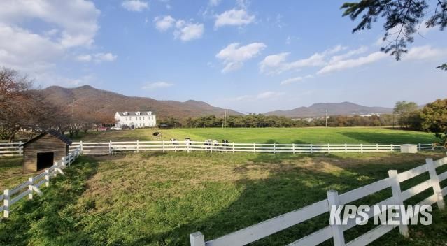 전국 최우수 친환경 농장으로 선정된 '농도원목장'