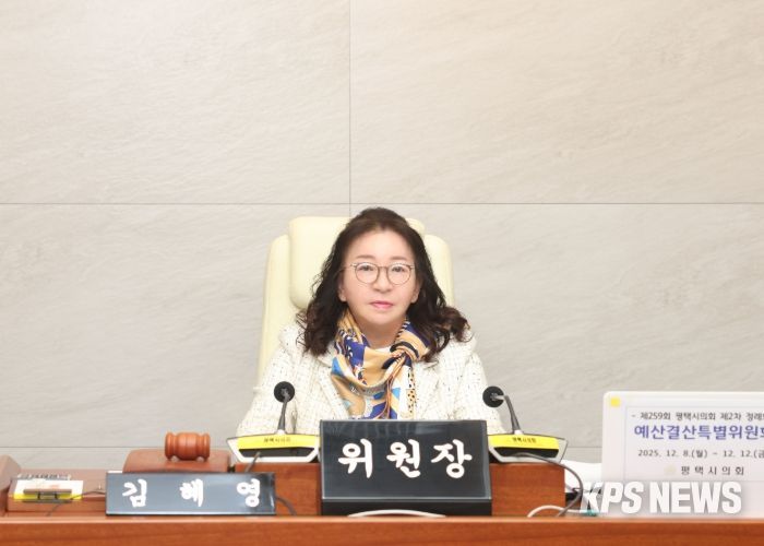 김혜영 예산결산특별위원장