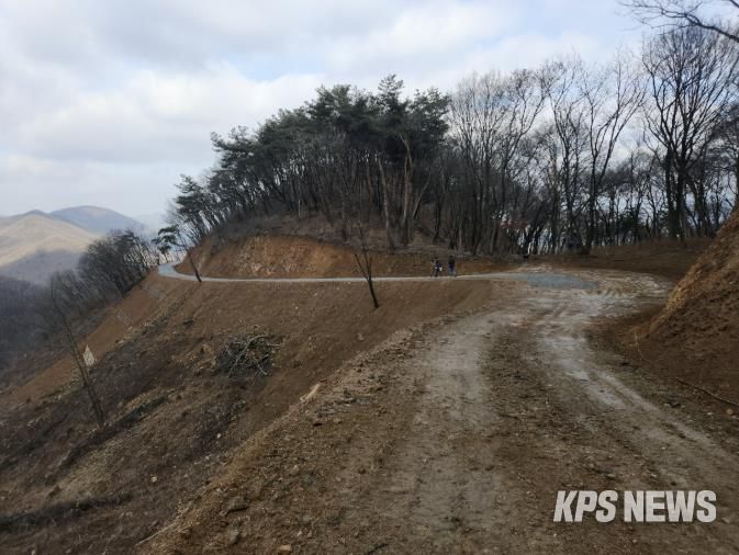 용인특례시가 처인구 원삼면 학일리 일원에 조성한 간선임도