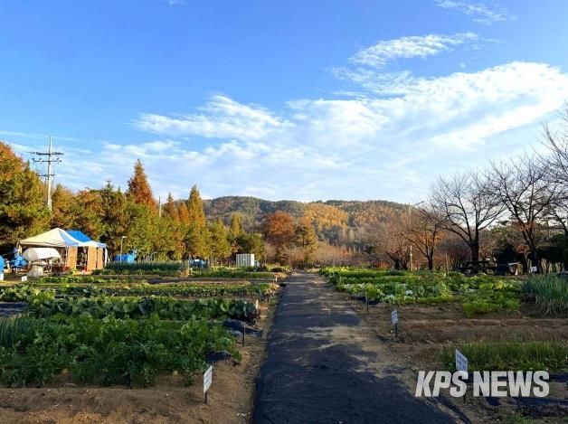 안성시, 2026년 도시농업공동체 공공텃밭 분양자 모집