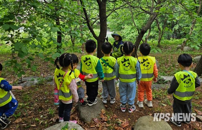 용인특례시가 상반기 유아숲체험과 찾아가는 숲해설 참여기관을 모집한다.